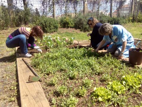 Professores e funcionários a realizar a monda da horta a 9 de abril de 2015.